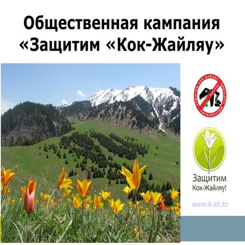 защитим кокжайлау для мок