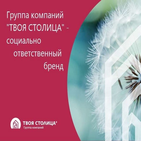 "Твоя Столица". Социально ответственный бренд