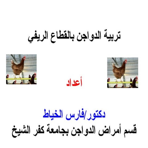 تربية الدواجن بالقطاع الريفي دكتور فارس الخياط