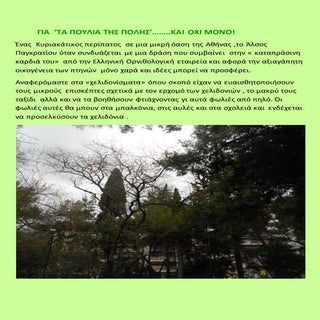 για τα πουλια τησ πολησ ...και οχι ...