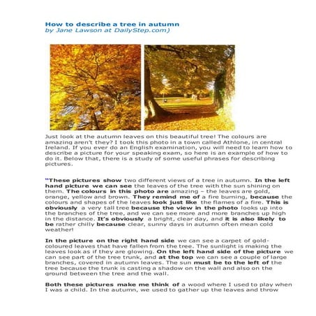 устная часть экзамена