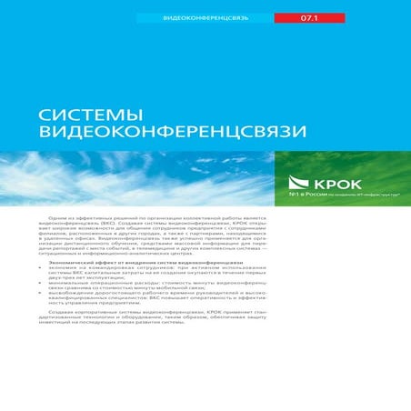 Системы видеоконференцсвязи | PDF