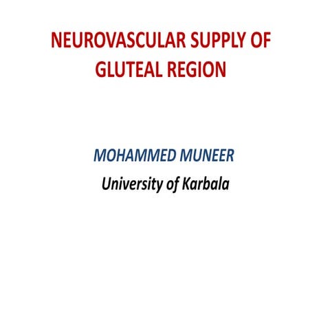 NEUROVASCULAR SUPPLY OF GLUTEAL REGION