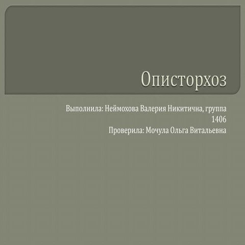 Описторхоз