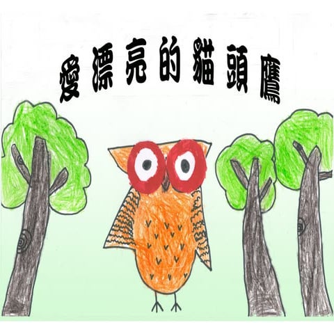 愛漂亮的貓頭鷹