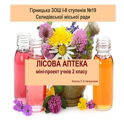 лісова аптека