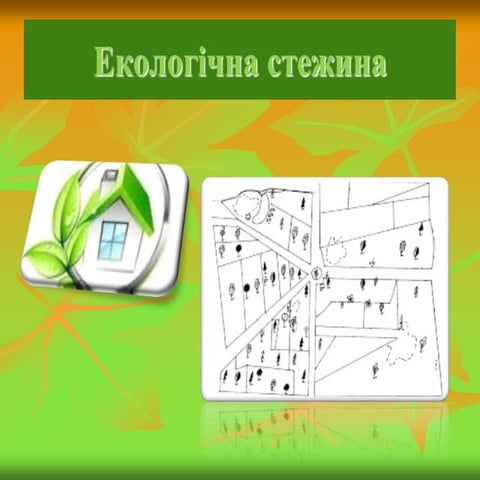 Екологічна  стежина