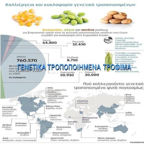 παρουσίαση γενετικά τροποποιημένα τρόφιμα
