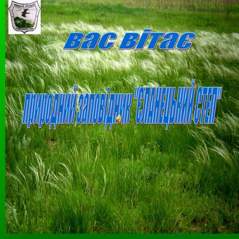 Вас вітає заповідник "Єланецький степ"