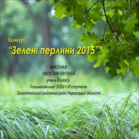 Кириків дуб