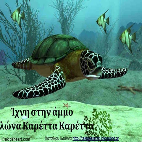 ίχνη στην άμμο  χελωνα καρέττα καρέττα