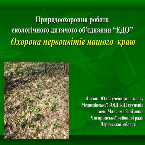 охорона первоцвітів нашого краю