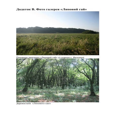 фотогалерея роботи