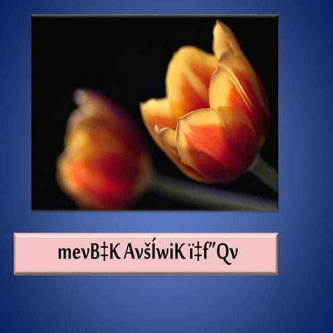 ৪। সোহরাব রোস্তম