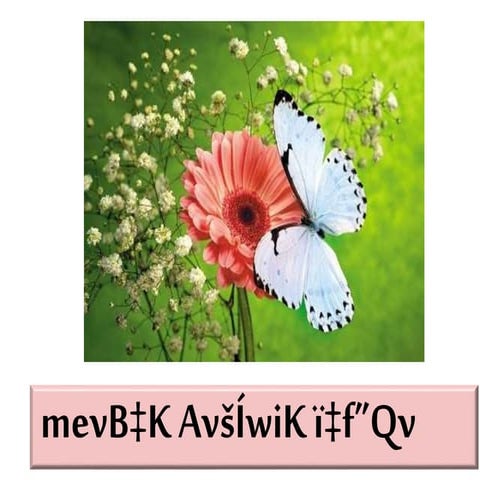 ৫। মার্চেন্ট অব ভেনিস