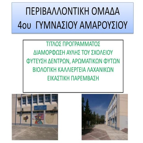 Διαμόρφωση της αυλής του σχολείου μας