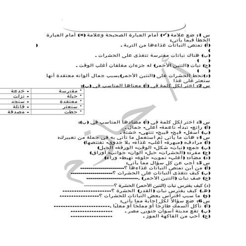 اسئلة على منهج اللغة العربية للصف الرابع