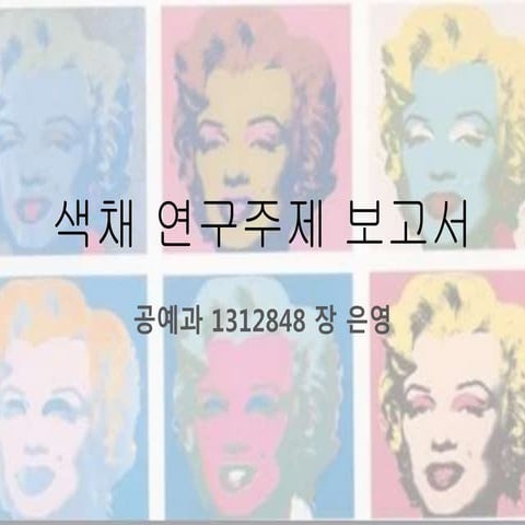 색채 연구주제 보고서