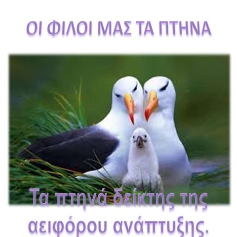 Τα πτηνά δείκτης της αειφόρου ανάπτυξης