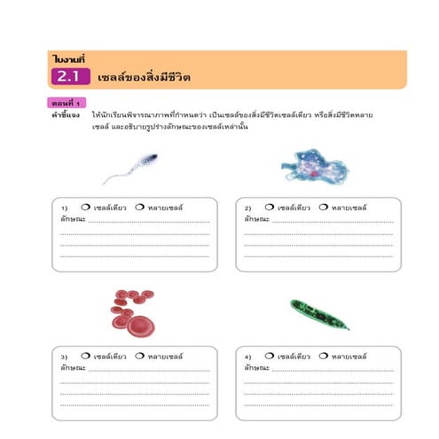 ใบงานวิทย์ ม.1