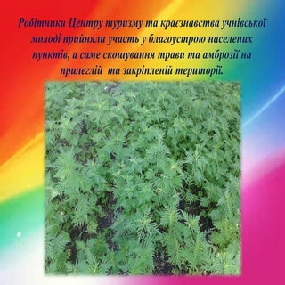 Благоустрій ЦТК