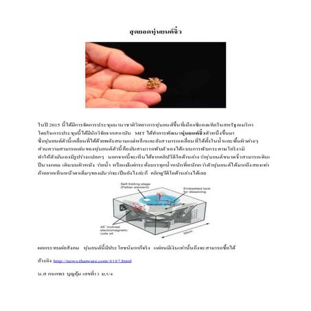 หุ่นยนต์จิ๋ว