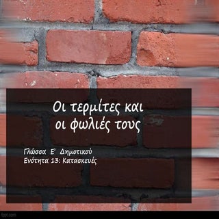 Ενότητα 13 - Περιγραφή φωλιάς τερμιτών