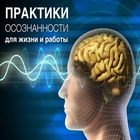 Практики осознанности для жизни и работы | PPT