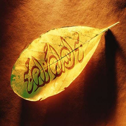 تنمية مهارات الاتصال في الحوار