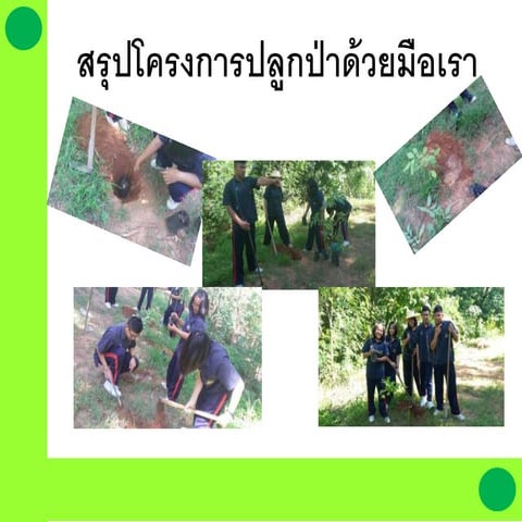 สรุปโครงการปลูกป่าด้วยมือเรา
