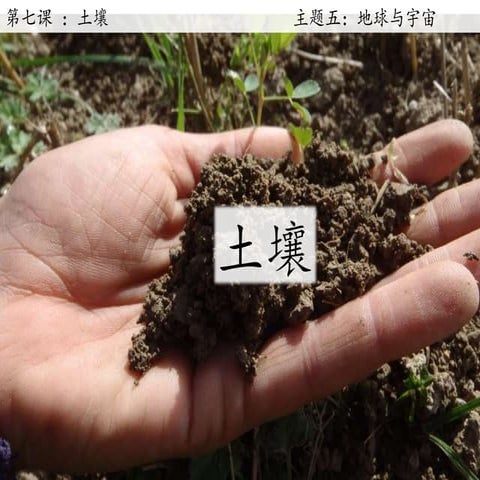 土壤的成分 Soil | PPSX