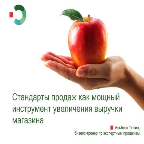 Стандарты продаж как мощный инструмент увеличения выручки магазина