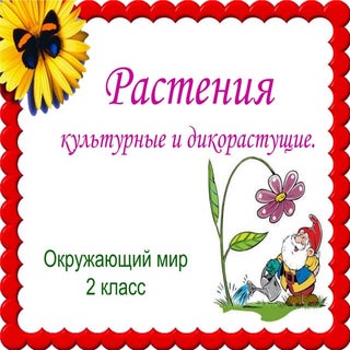 Растения