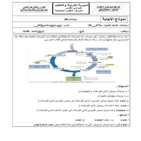 اجابة حلقة كالفن