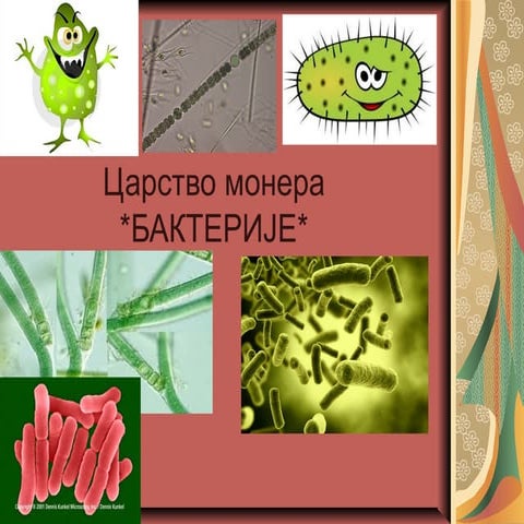 царство монера | PPT