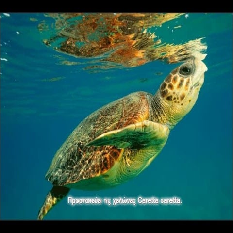 Σκοποί του θαλάσσιου πάρκου Ζακύνθου.pdf