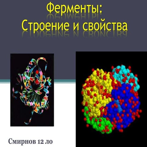 Ферменты | PPT