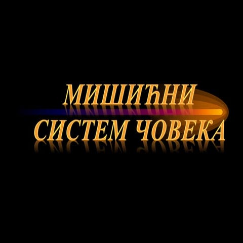мишићни систем човека | PPT