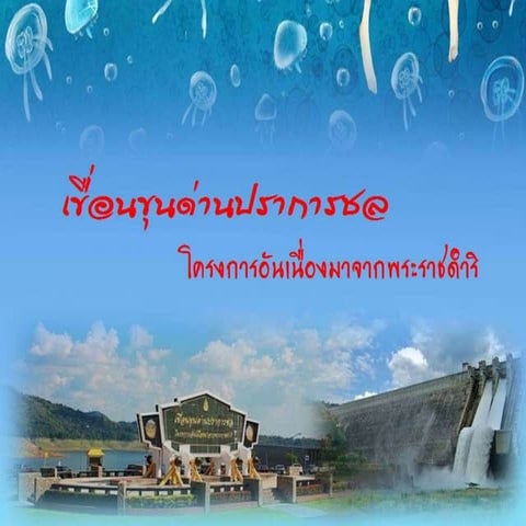 เขื่อนขุนด่านปราการชล โครงการอันเนื่องมาจากพระราชดำริ