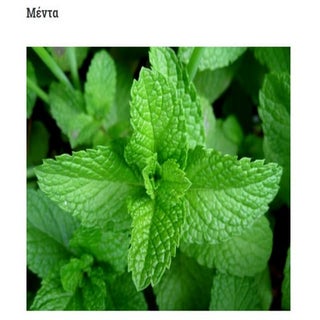 Φυτά διακοσμητικά, αρωματικά, φαρμα...