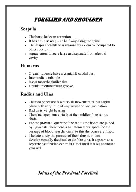 تشريح اولي عملي