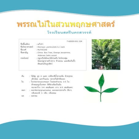 ICT ENABLED LESSON TEMPLATE1 | PPTX