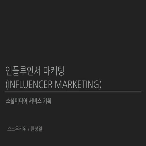 인플루언서 마케팅 (INFLUENCER MARKETING)