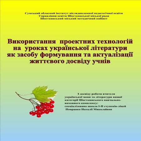 досвід поправко н.м.