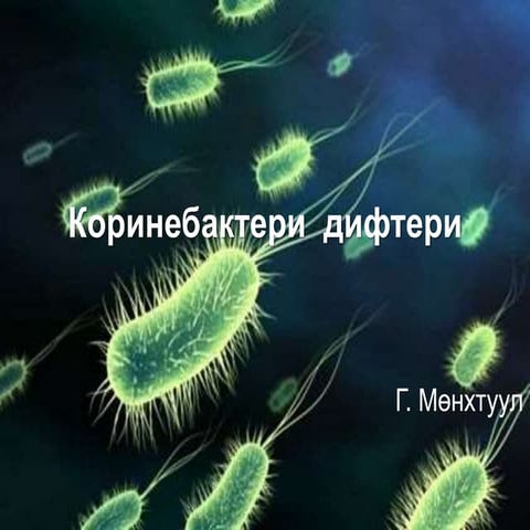 коринебактери  дифтери