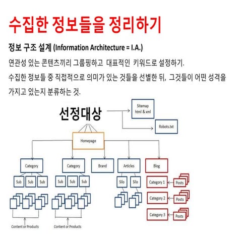 구조 설정과 와이어프레임
