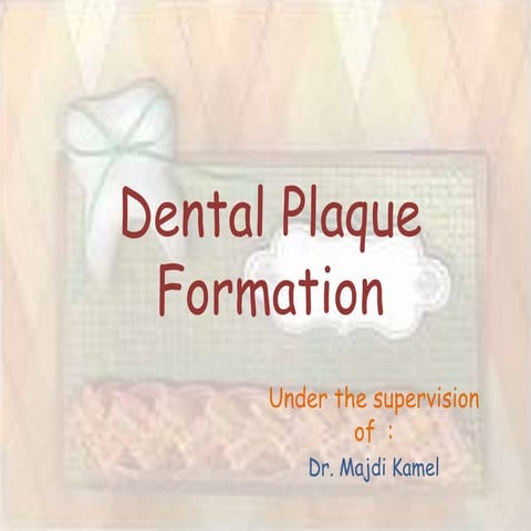 Dental plaque formation