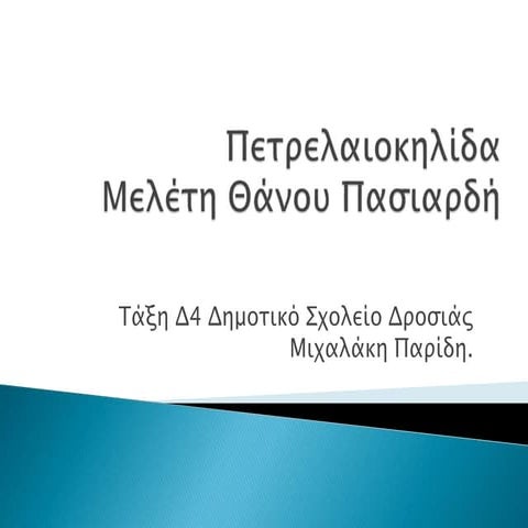 Πετρελαιοκηλίδα και Ρύπανση της Θάλασσας.