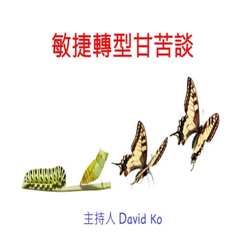 敏捷轉型甘苦談