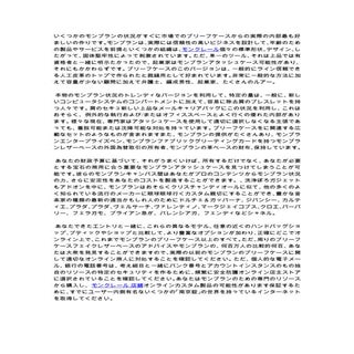 モンブラン精密検査ブリーフケース